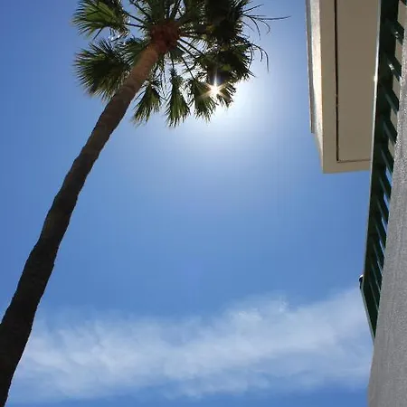 Apartment Bellimar